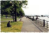 [photo]